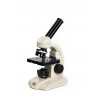 Student 31, biološki mikroskop