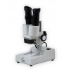 STM-2B Stereo Mikroskop