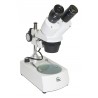 STM 4c-LED Stereo Mikroskop